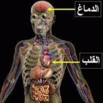 لماذا حرم الله تعالى والنبي الكريم الخلوة بالنساء