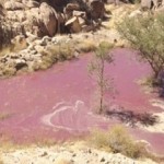 بالصورة البحيرة التي هزّت السعودية هذا ما تحتويه