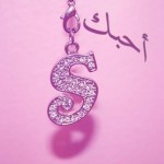 صور حرف s 2013 , خلفيات حرف s 2013 , رمزيات حرف s 2013 , تصاميم حرف s 2013